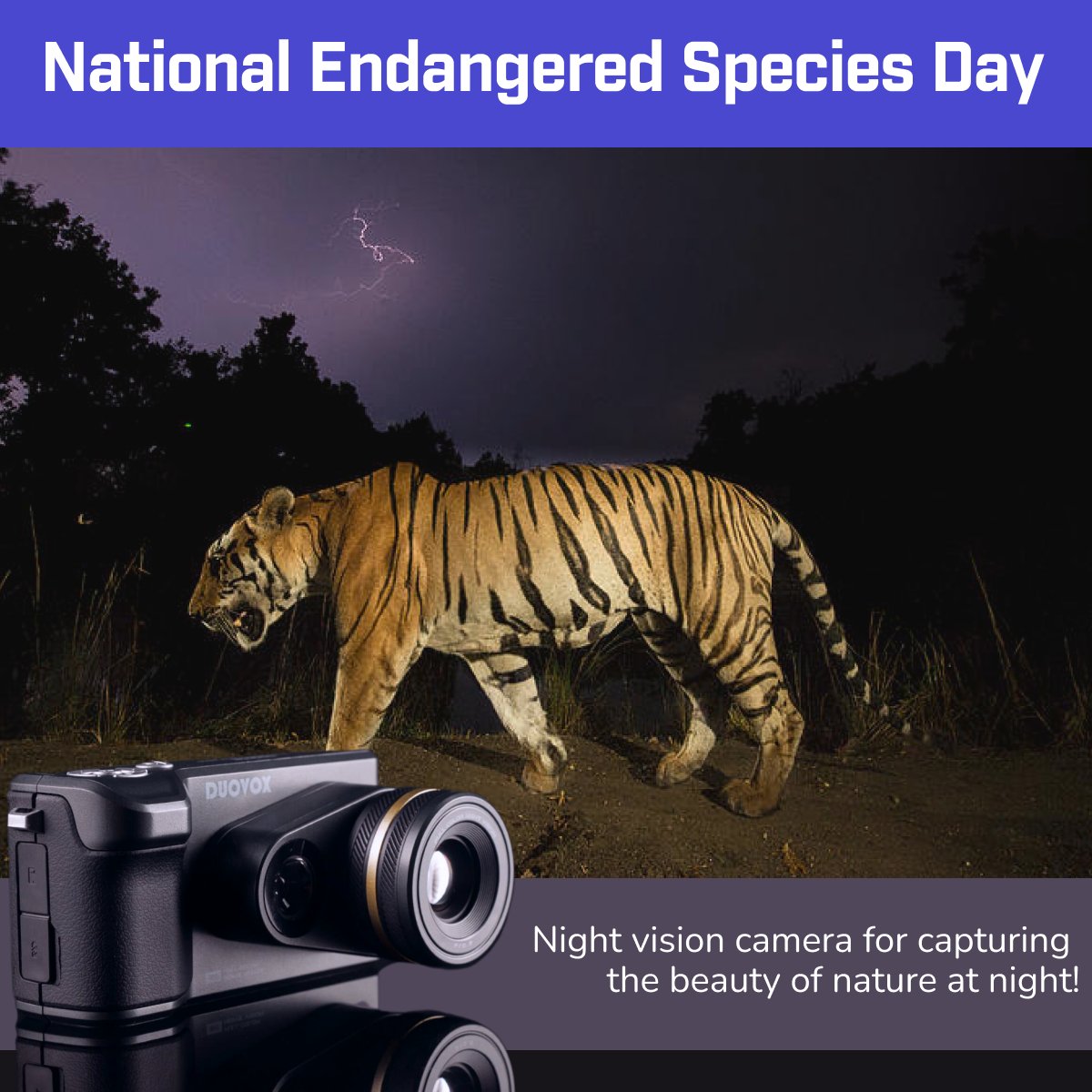 Duovoxmate's tweet photo. May 20th is #NationalEndangeredSpeciesDay! 🐯
On this day, let's not forget to appreciate the wildlife around us! https://t.co/887IFY9F7p