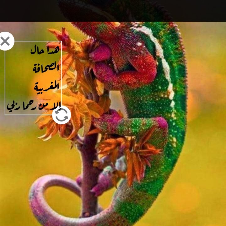 #صورة_ملف_شخصي_جديدة