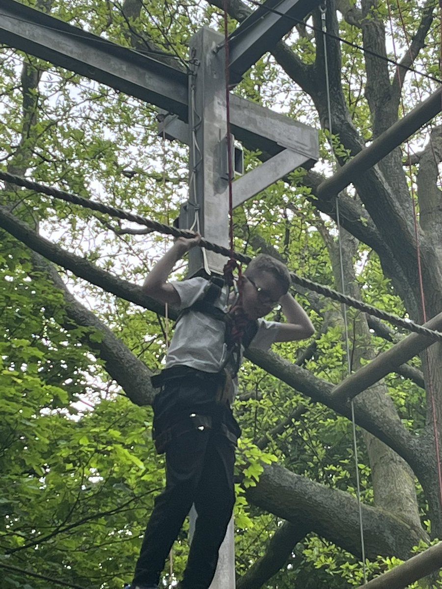 vikdockerty's tweet photo. Group 3 going ape at PGL @ParklandsLeeds @chrisdysonHT https://t.co/KJoV4NV3ds