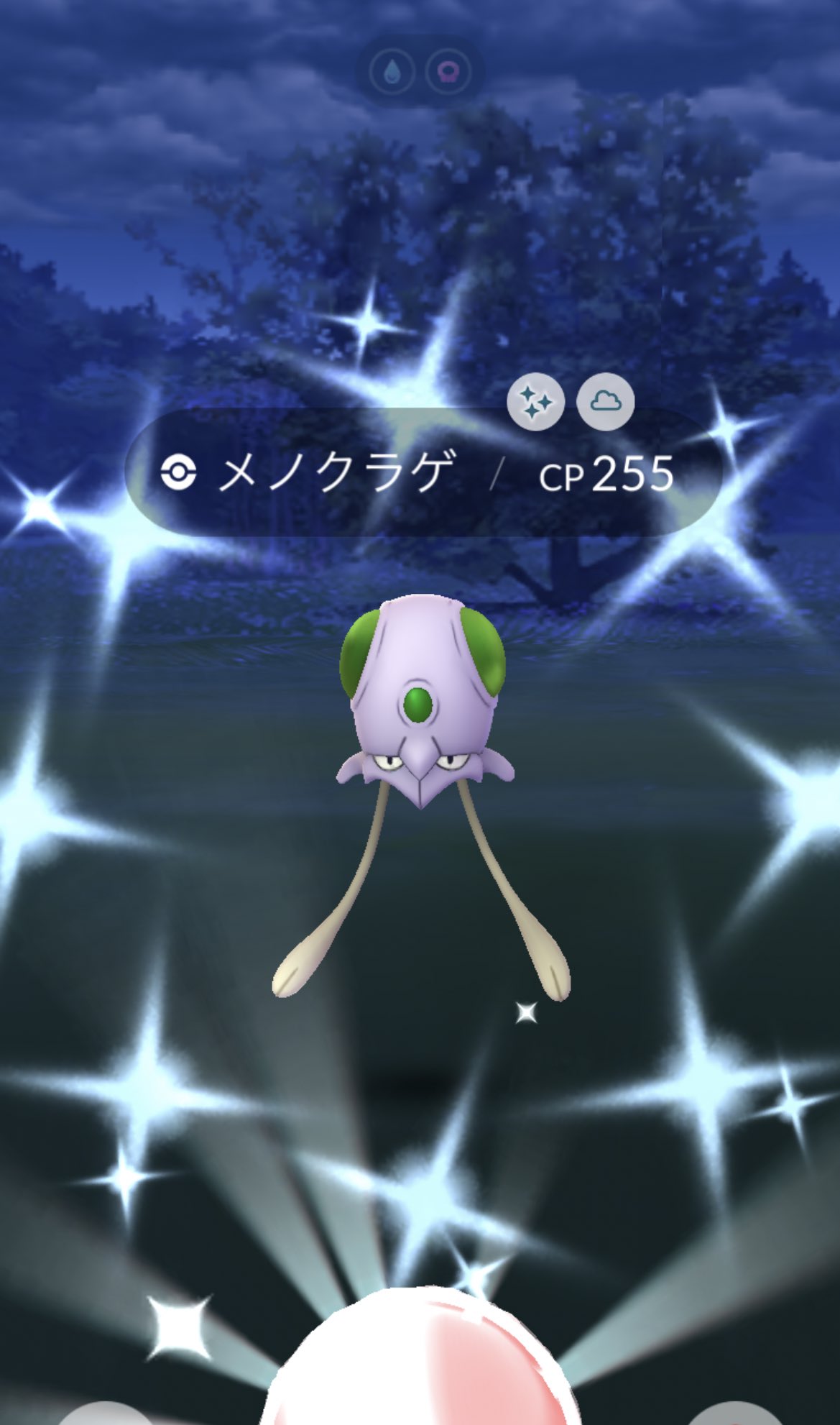 みれい ポケモンgo ウォーターフェスティバルお疲れ様でした𓂃 𓈒𓏸 色違い全部魚でした キバニア メノクラゲ コイキング 色違い ポケモンgo T Co Ibogjttncx Twitter