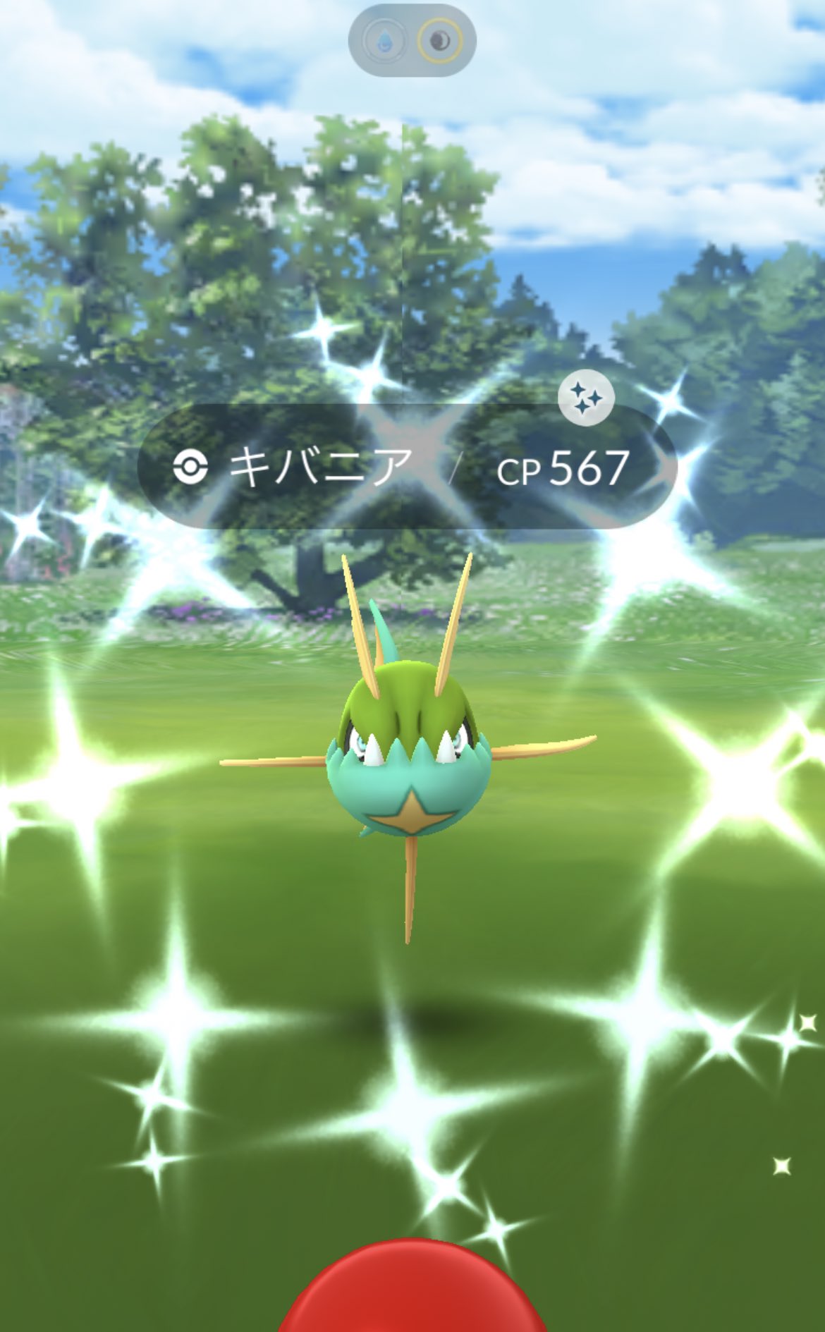 みれい ポケモンgo ウォーターフェスティバルお疲れ様でした𓂃 𓈒𓏸 色違い全部魚でした キバニア メノクラゲ コイキング 色違い ポケモンgo T Co Ibogjttncx Twitter