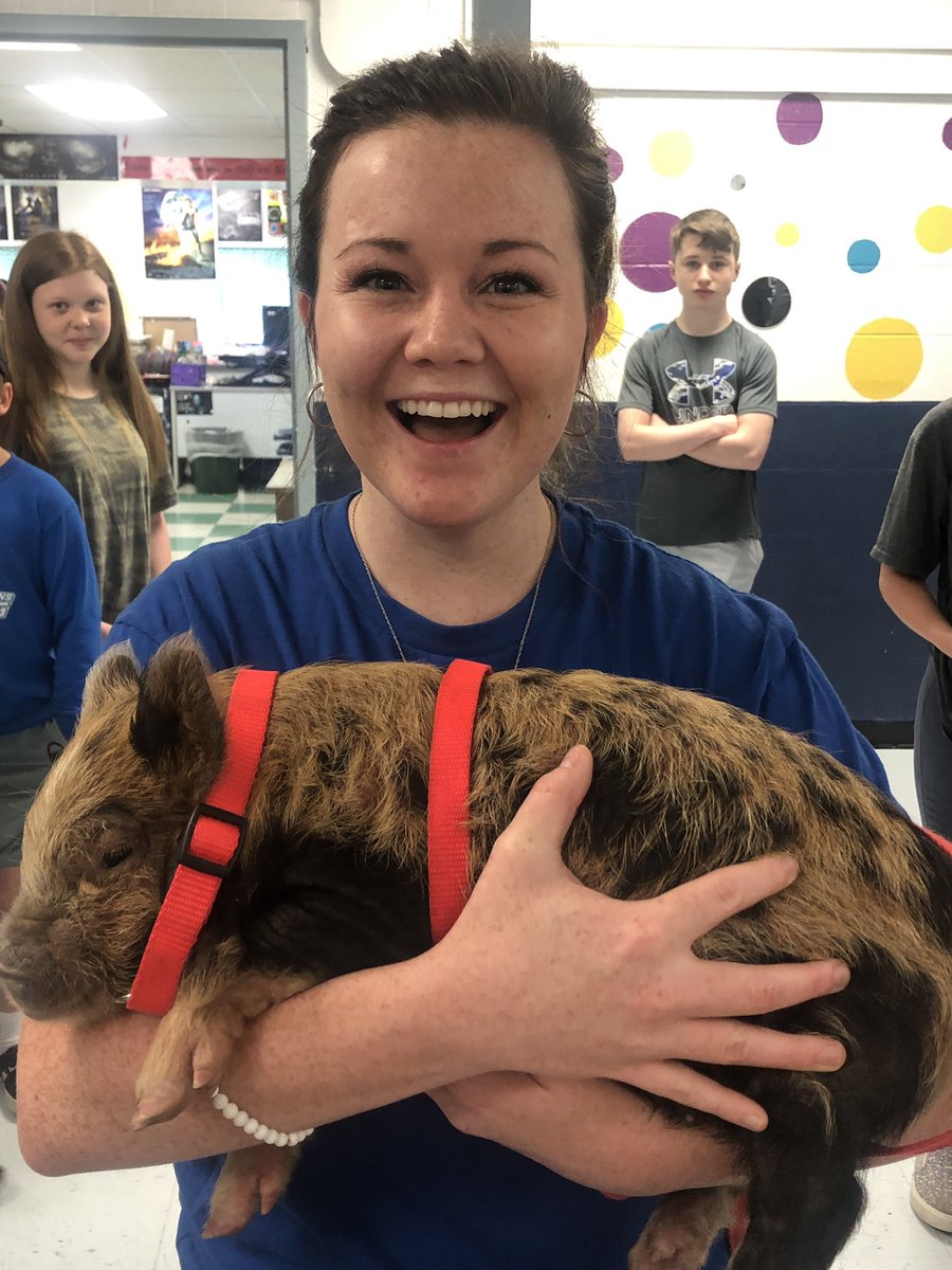 nmhuffman's tweet photo. Can’t make this stuff up. Piggy at arrival! What a way to start a Friday!!! #VMSOneRoar https://t.co/ARPGbhGLhr