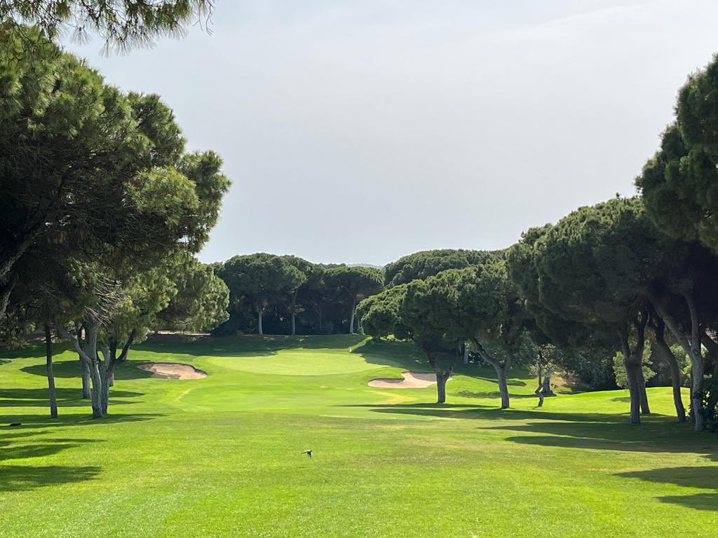 Erwin Ooms tweet media