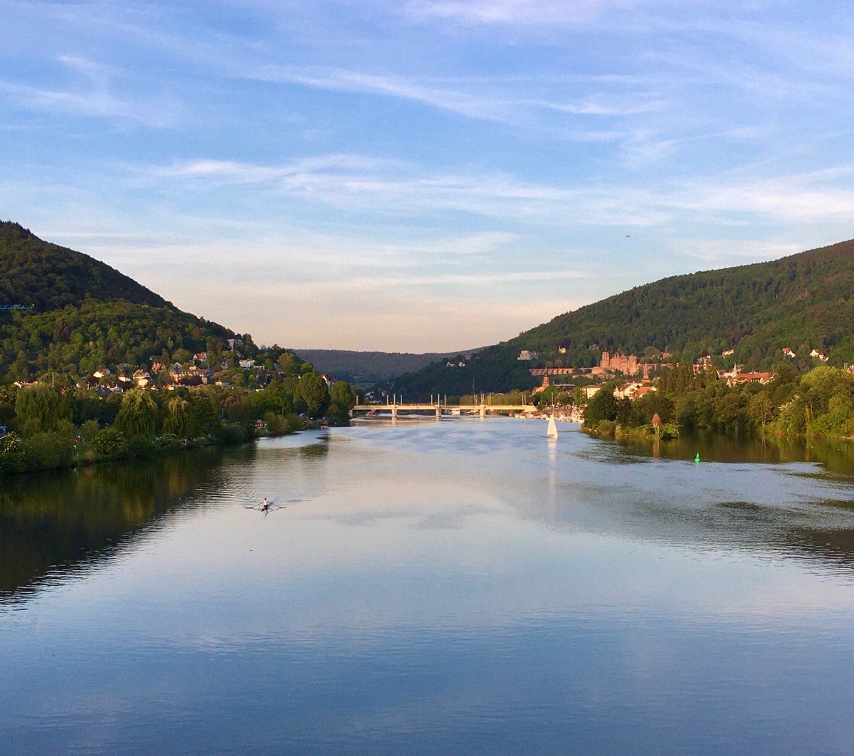 Went to my first international conference: #EESmechanobiology in #Heidelberg and it was excellent fun! Thank you to @EMBO|@EMBL for organising and thanks to everyone who chatted to me about their work and also who came to my poster ☀️