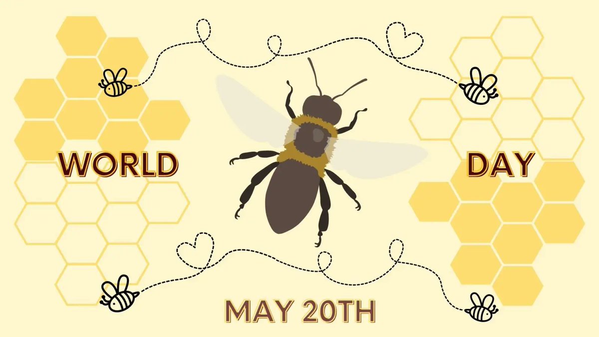 LRC_HCDSB's tweet photo. May 20th is World Bee Day! Bees are an important part of the ecosystem, supporting people, plants and the environment. Make a beeline for your school library to find books and resources, and check out eBooks, books and kits available through SORA or the LRC! #LRCCheckItOut @HCDSB https://t.co/klTM3aJ3K4