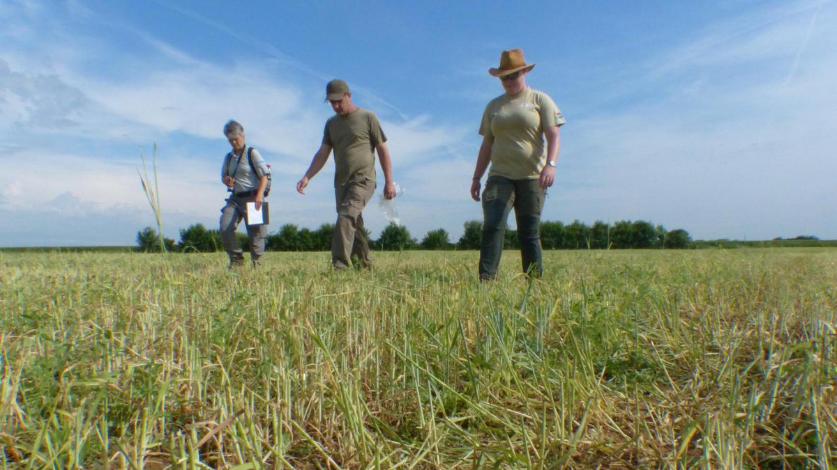 CourrierPicard's tweet photo. L’impact de la méthanisation sur la perdrix grise à l’étude pour un an dans l’Oise ➡️ https://t.co/7ARofvBtWC #environnement #agriculture #économie #méthaniseurs #Oise #Coudun #Compiègne #perdrix #animaux #nature https://t.co/MNWlDo2GsY