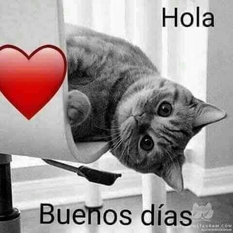 esperanzaag14's tweet photo. ¡Venga, ya es viernes! 🌹😘
Excelente día para todos, roguemos porque las cosas marchen😍🙏
#InicioDeFinde https://t.co/R1tHj0eqBL
