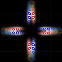 Sonja Franke-Arnold tweet media