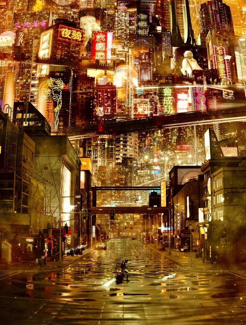 Tom Wilson tweet media