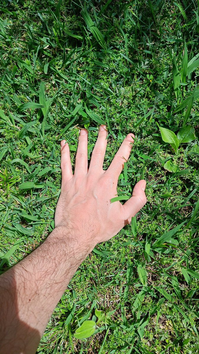 <a href="/LucemansNL/">luc.eth</a> <a href="/pogdotearth/">Proof of Grass | POG.EARTH (草, 草)</a> Proof of Grass day 1 <a href="/pogdotearth/">Proof of Grass | POG.EARTH (草, 草)</a>