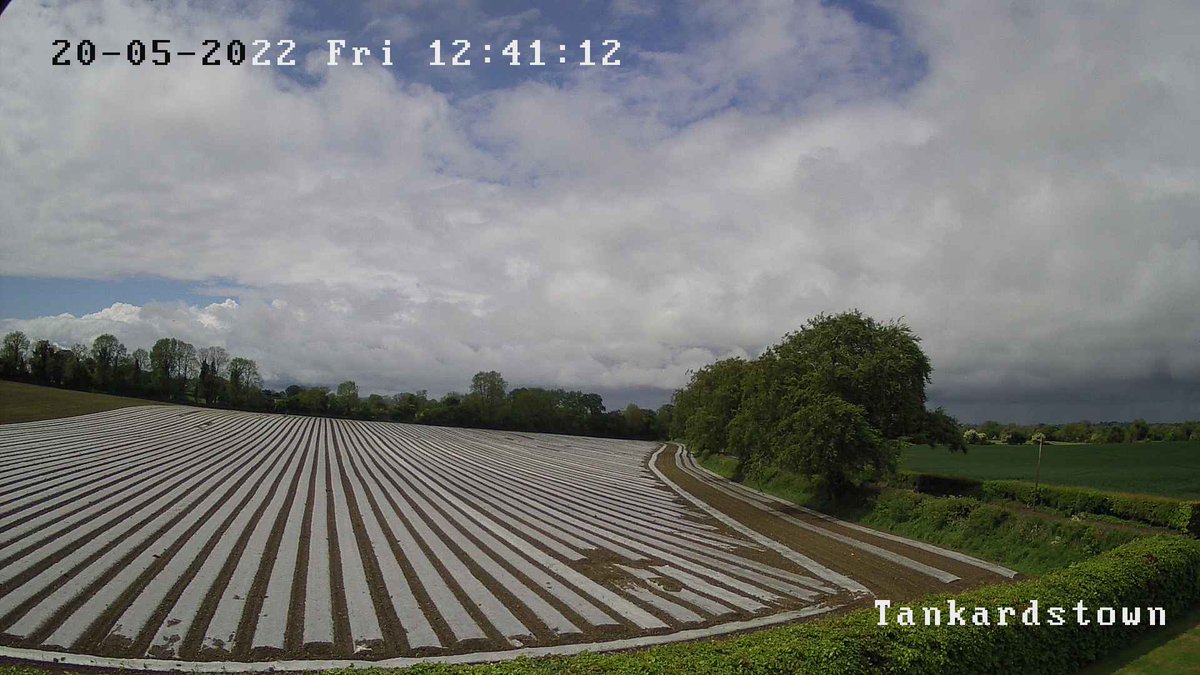 Carlow Weather tweet media