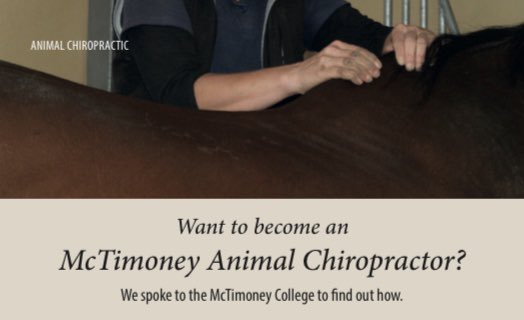 Animal Therapy Media tweet media