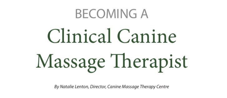 Issue 26 is out next week. Here’s a little taster of some of the content.

Subscribe to get your copy.

animaltherapymedia.co.uk