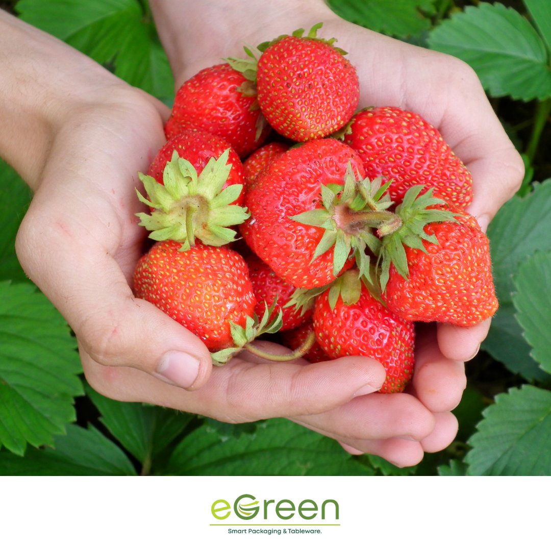egreen_uk's tweet image. #pickyourownstrawberriesday. Why not have a bowl of strawberries and cream after youve picked your own? 

We&apos;ve a great range of #reusabletableware #madeintheUK #Easystyle . The range is also dishwasher safe and recyclable  too!

sales@egreen.co.uk | 020 8646 0456