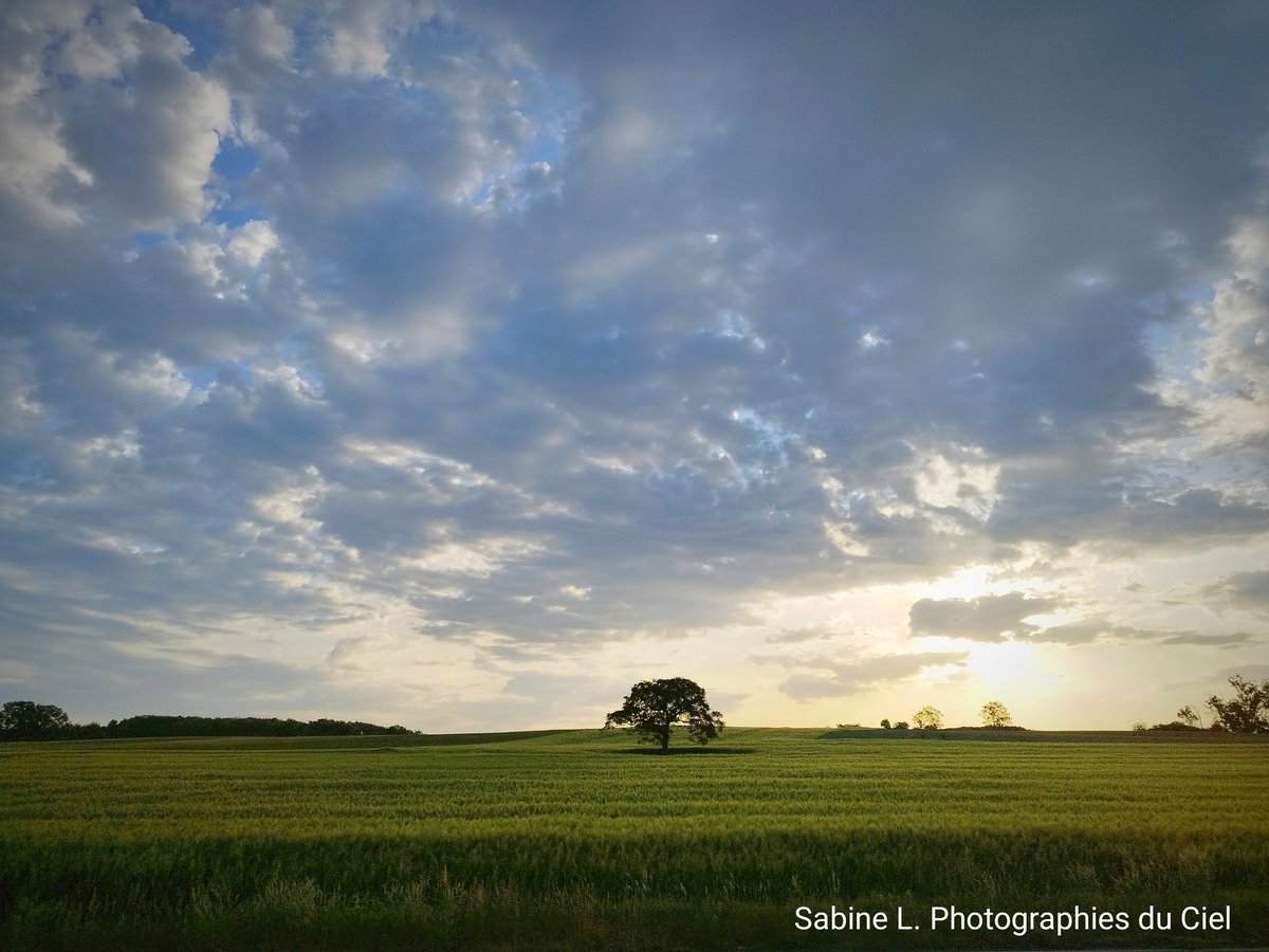 SabineL67's tweet photo. Ce matin ...
🌡️16⁰C à 6h ... 25⁰C à 8h 🌞
📷#Crastatt #Ittenheim 

#Alsace #BasRhin #Météo #Météo67 https://t.co/kxmDHcSS8k