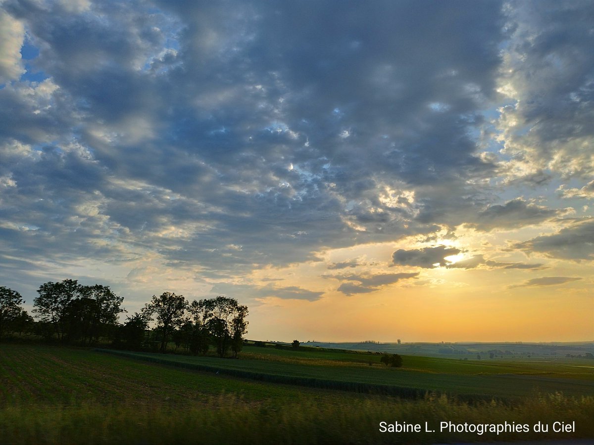 SabineL67's tweet photo. Ce matin ...
🌡️16⁰C à 6h ... 25⁰C à 8h 🌞
📷#Crastatt #Ittenheim 

#Alsace #BasRhin #Météo #Météo67 https://t.co/kxmDHcSS8k