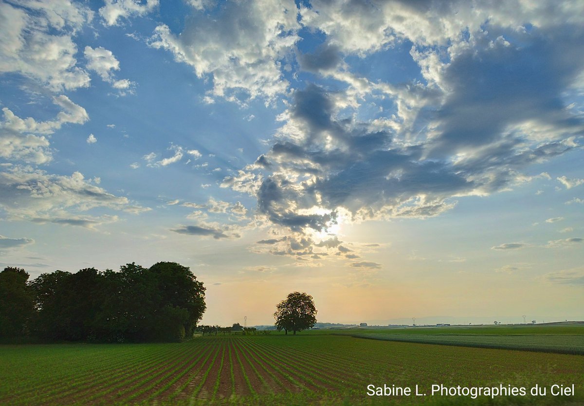 SabineL67's tweet photo. Ce matin ...
🌡️16⁰C à 6h ... 25⁰C à 8h 🌞
📷#Crastatt #Ittenheim 

#Alsace #BasRhin #Météo #Météo67 https://t.co/kxmDHcSS8k