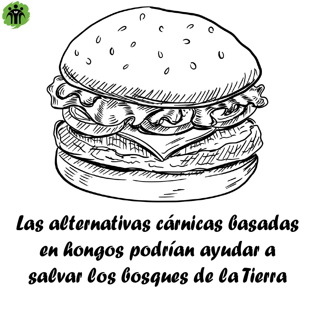 Don Bosco Green Alliance - ES tweet media