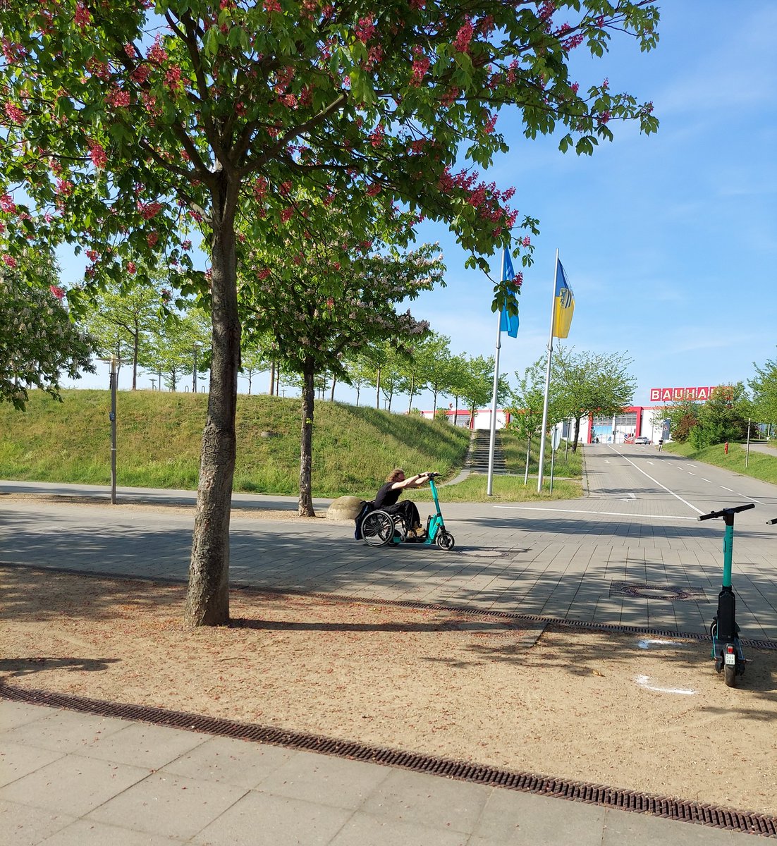 Peter Griffiths ∞ tweet media