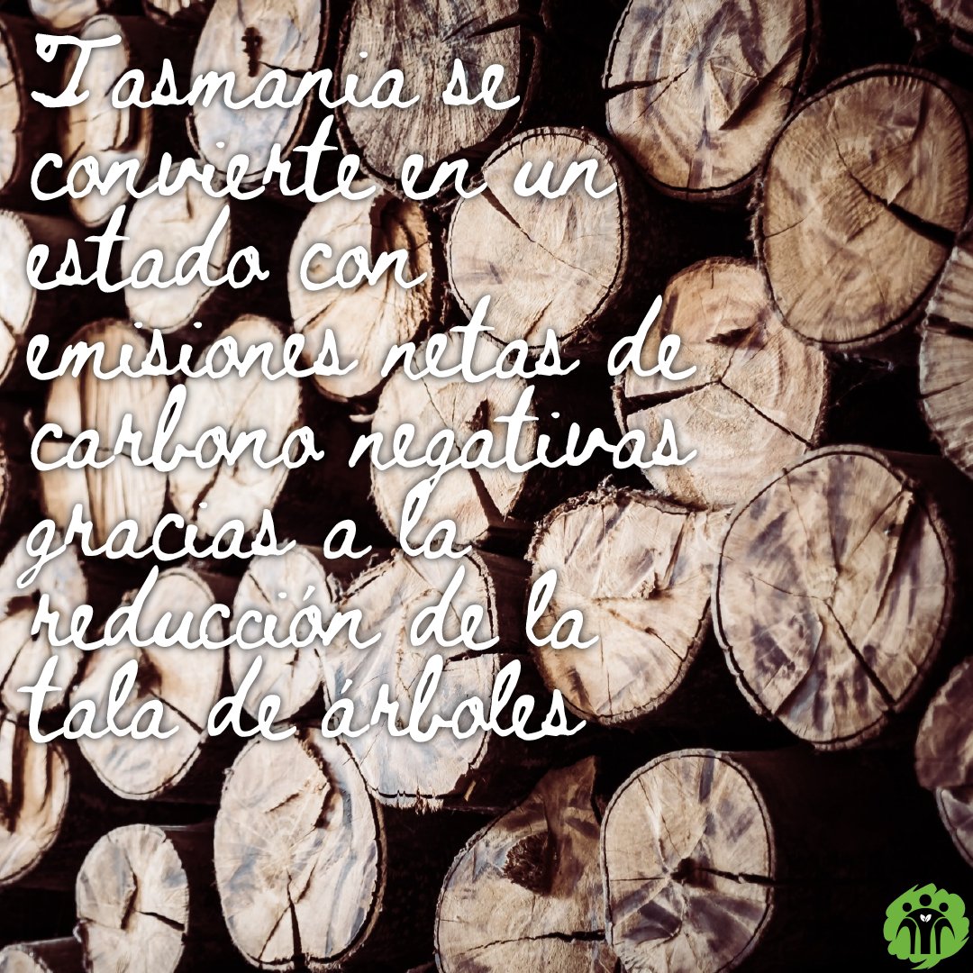 Don Bosco Green Alliance - ES tweet media