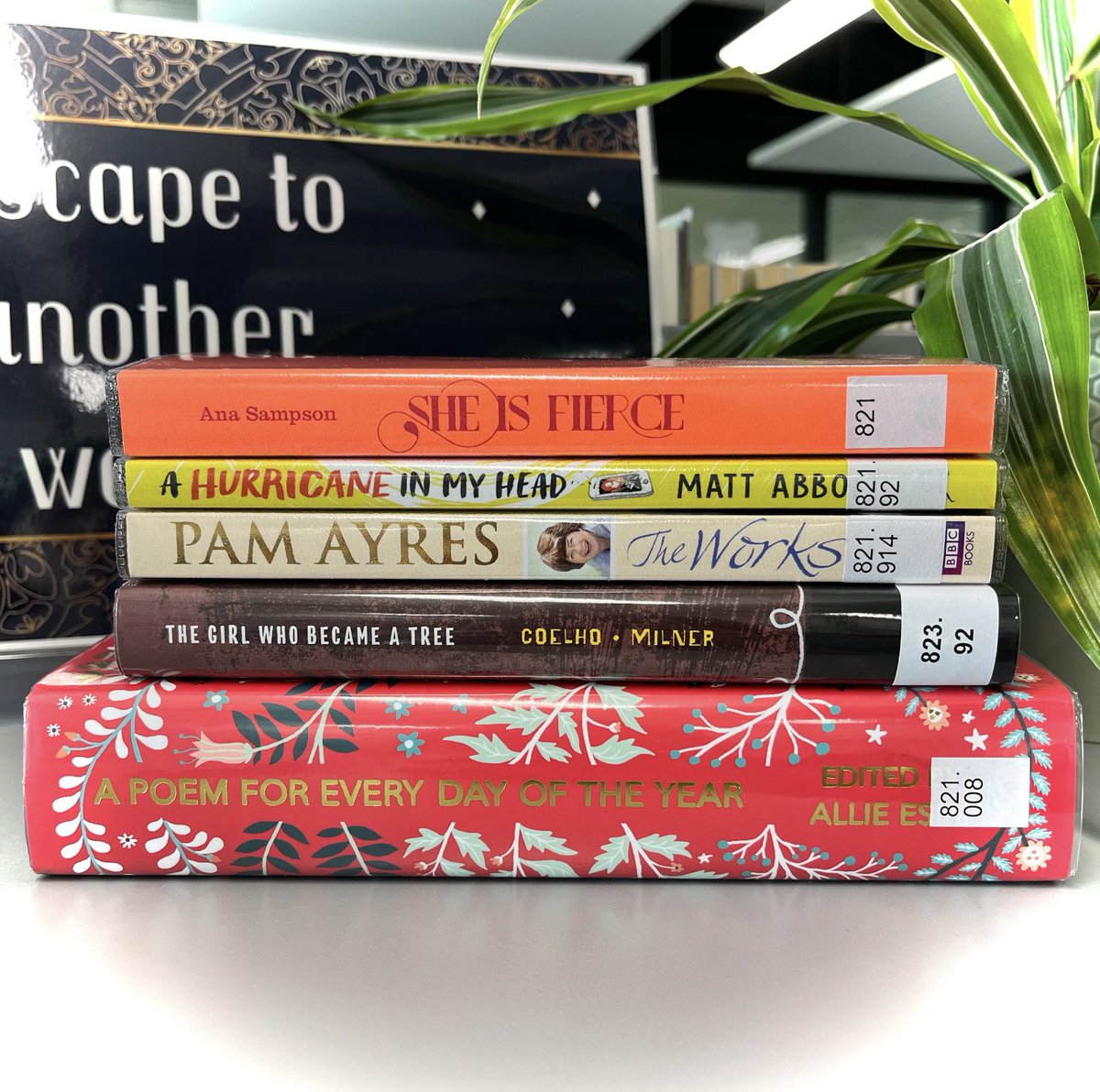 NEW!!

We have some lovely new poetry books available for you to borrow from the LRC. 
Who’s your favourite poet/poem?

#poetry #poet #poem #newin #sheisfierce #ahurricaneinmyhead #theworks #thegirlwhobecameatree #apoemforeverydayoftheyear