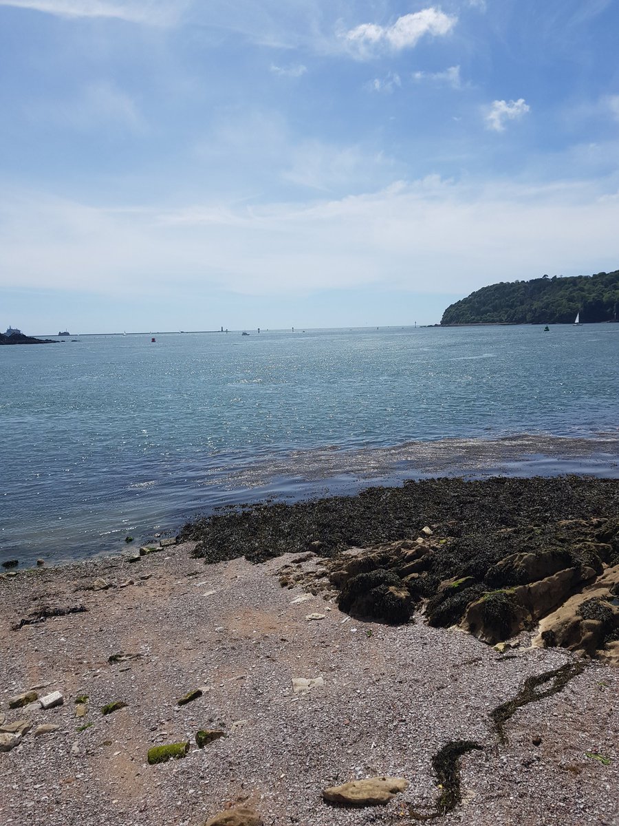 chudley_90's tweet photo. Wheres the sun gone? Yesterday was a double dip day, a beautiful 400M swim at lunchtime, watching the seal bob around and enjoying the sunshine... followed by a 200M swim with a feiend in the evening!
So lucky to live here!👌
#SeaSwimming #ClearHead #SmilesBack #HelloSeal https://t.co/hz7ocgqrDD