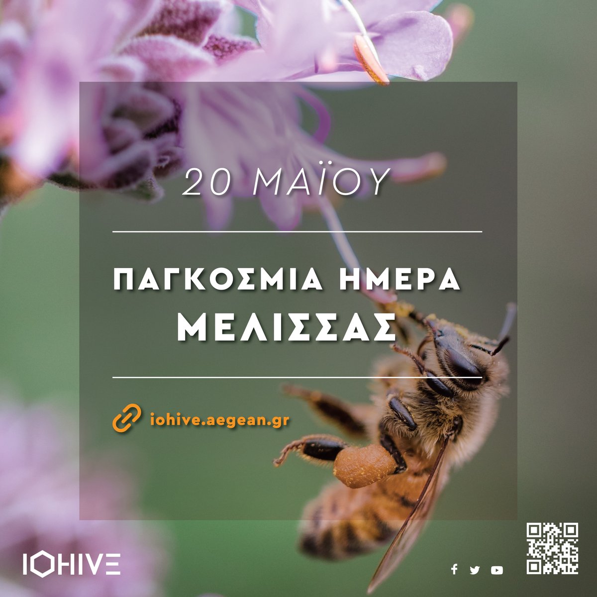 IOHIVEuser's tweet photo. Παγκόσμια Ημέρα Μέλισσας! #WorldBeeDay2022 
Η 20η Μαΐου έχει οριστεί από τον ΟΗΕ ως Παγκόσμια Ημέρα Μέλισσας. Στόχος του IOHIVE (https://t.co/b4gtxJLg9i) είναι να ενδυναμώσει τις πρακτικές μιας αειφόρου μελισσοκομίας χρησιμοποιώντας τεχνολογίες του διαδικτύου των πραγμάτων (IOT). https://t.co/538LEwnQoA