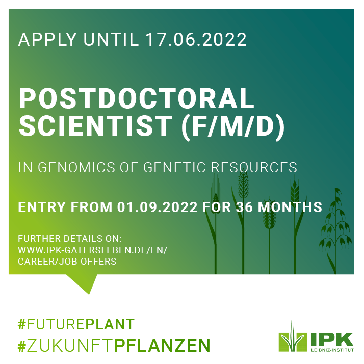 LeibnizIPK's tweet photo. You have a PhD in #Biology or equivalent and are in the postdoctoral phase within 6 years of having completed your PhD? And you have expertise in molecular #genetics and #genomics? Then we at @LeibnizIPK have a great job offer!
➡️All details: https://t.co/FyjUpcogtP https://t.co/exnlfIhJP9