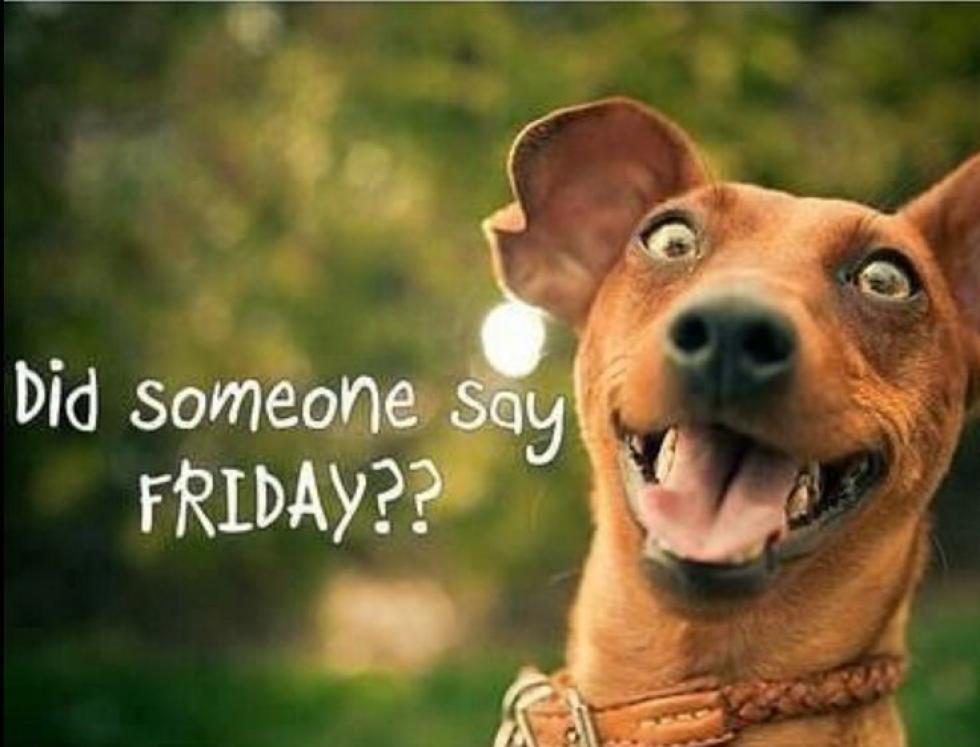 Sextons Bakery tweet media