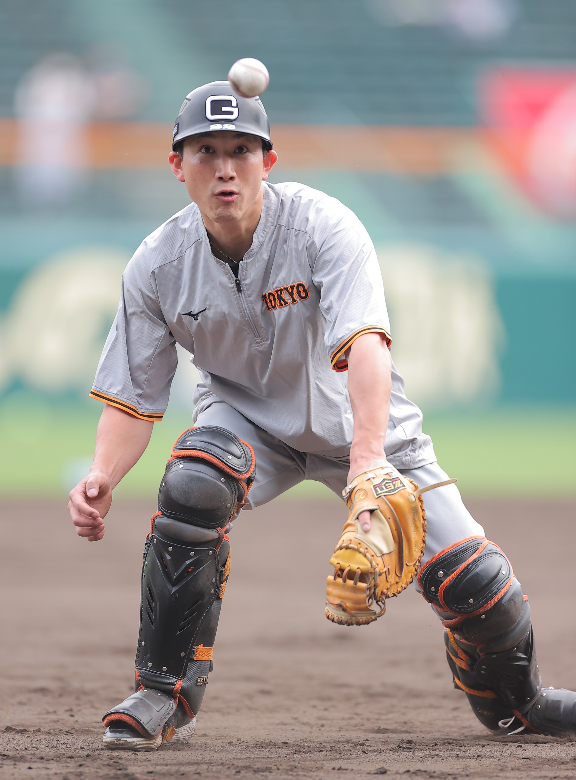 史上一番安い シュタイフ×ジャイアンツコラボ 小林誠司選手 巨人