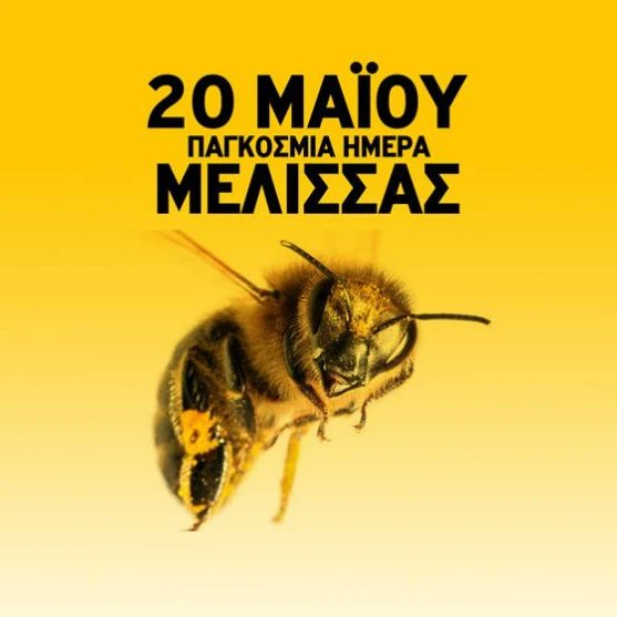 GreekBeeKeeper's tweet image. 🐝 Happy Bee Day! 🌻🐝🍯
#bee #happybeeday #beekeeping #beekeepinggreece #honey #beekeeper