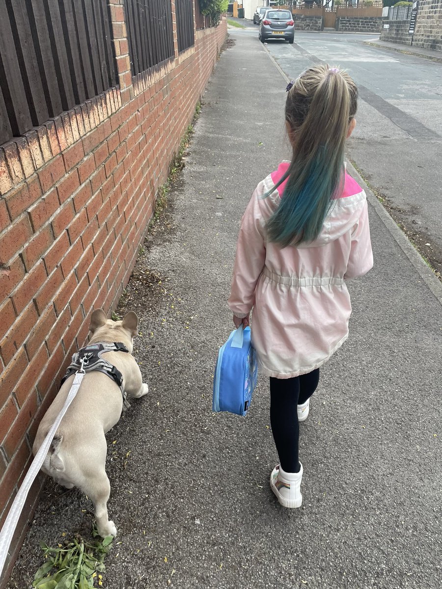 HaytonGina's tweet photo. @MapplewellSch @MPSClass4 @BarnsleyMoving #whatsyourmove last day of walk to school week with rockstar hair 💙 https://t.co/9WPwcZwfdy