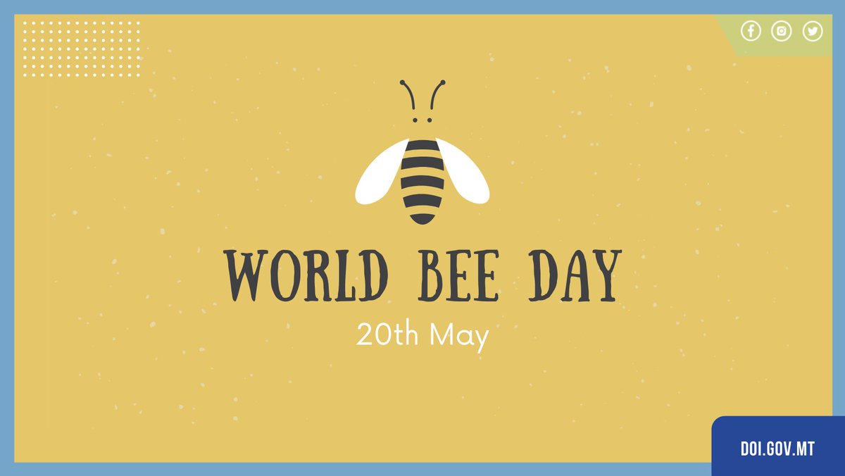 DOImalta's tweet photo. Bees and other pollinators play an essential role in keeping the planet healthy. They enable not only the production of an abundance of fruits, nuts and seeds, but also more variety and better quality. Let's protect them and their habitat. https://t.co/9VRBIoa9UM
