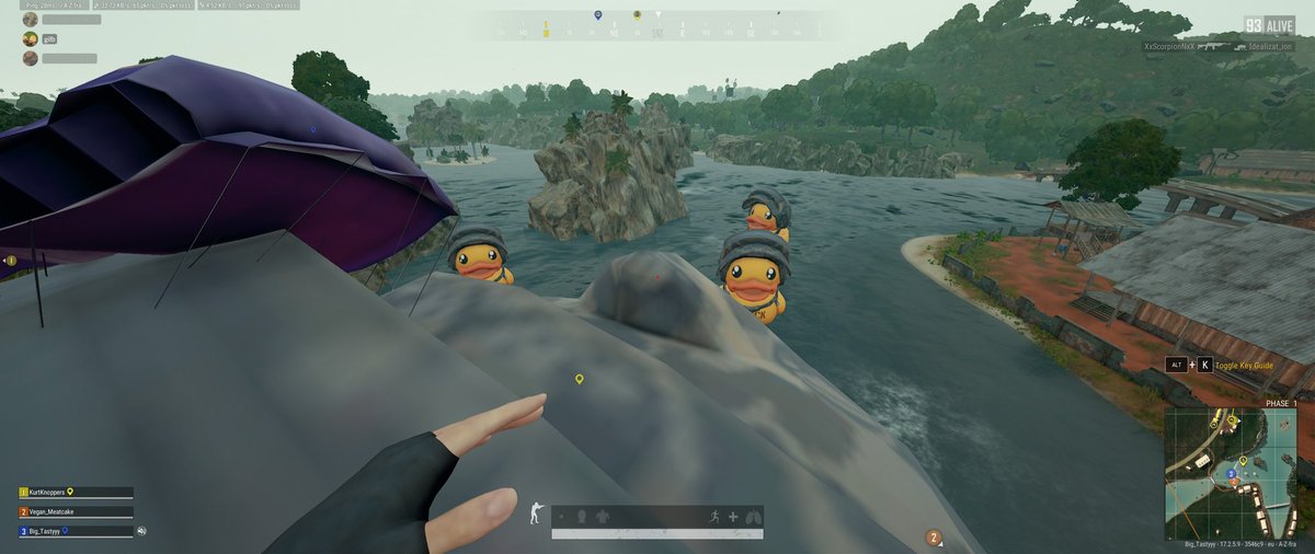 TechTM_'s tweet photo. IGN: Big_Tastyyy
Platform: Steam
Region: UK

@PUBG 
#PUBGDuckRider
#PUBGDuckChallenge https://t.co/LTlcZCpFdX
