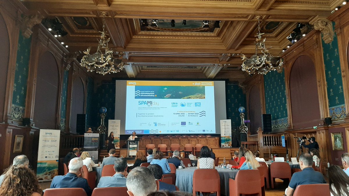 Let's start the #SPAMIday2022 ! Talking on the network of italian MPAs in @Pelagos_ ! #conservation #cetaceans