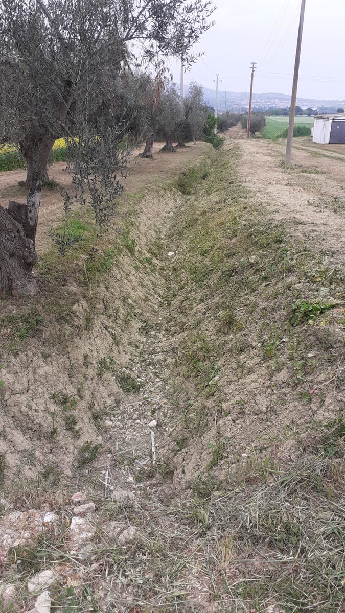 Rurabilandia's tweet photo. Manutenzione del verde, pulizia uliveti, sfalcio. Pulizia e sicurezza marciano di pari passo nell’azienda agraria Ricciconti della Asp2. https://t.co/FTi8fGhZkS