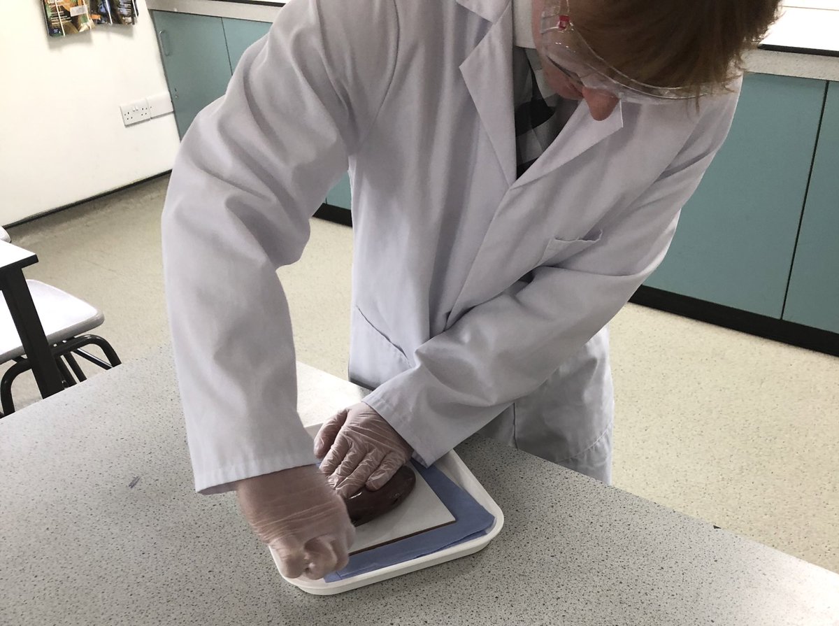 Gordon's Science tweet media