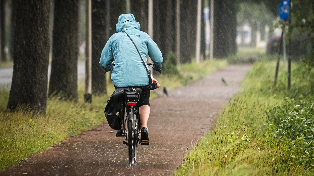 Zware onweersbuien op weg naar Gelderland: dit kun je verwachten ogld.nl/1hra