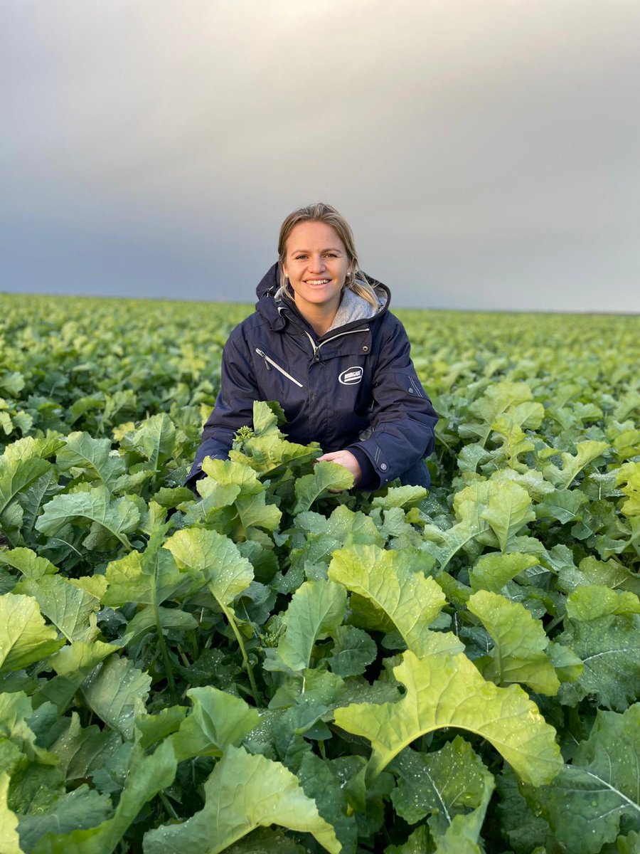 EZI Group Inc. tweet media