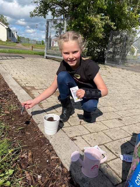 CommunityShops's tweet photo. This #WorldBeeDay #BiffaBees is raising awareness of how important bees are for food, sustainable agriculture &amp; #biodiversity. 
We brought our communities together to plant seeds from Biffa in our #community gardens to create green spaces to enjoy &amp; #habitats for bees to thrive. https://t.co/KHWLAlfBgA