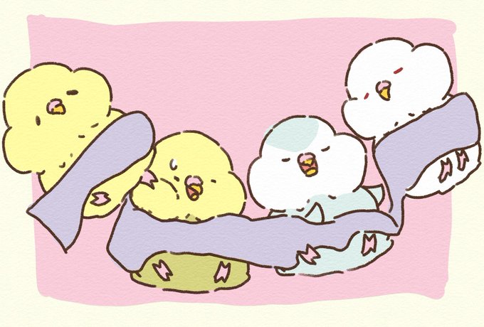 セキセイインコのtwitterイラスト検索結果