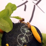 ツイートに含まれる画像