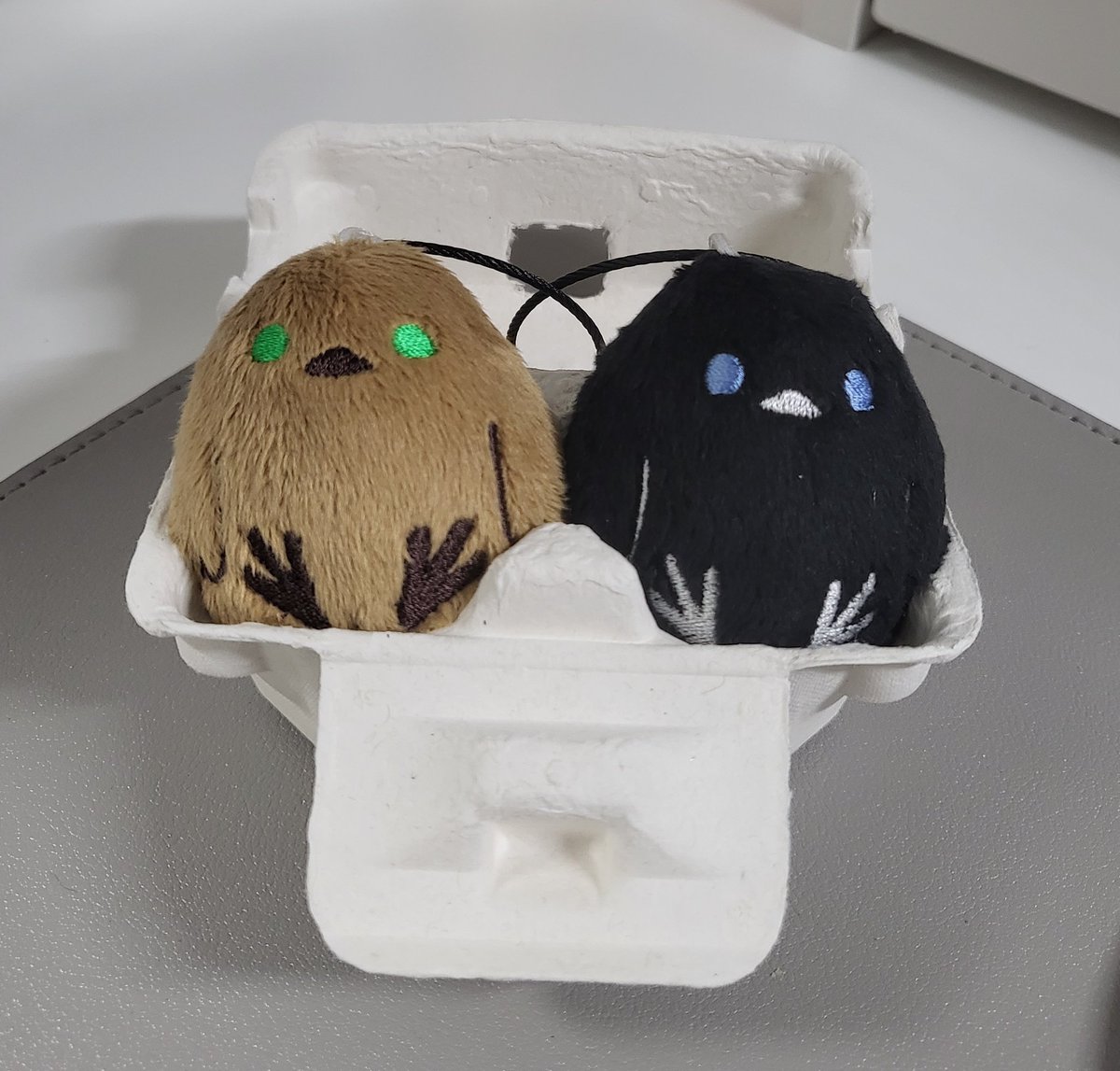 귀여운 우리집 앙빅 뱁새 볼 사람