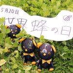 ツイートに含まれる画像