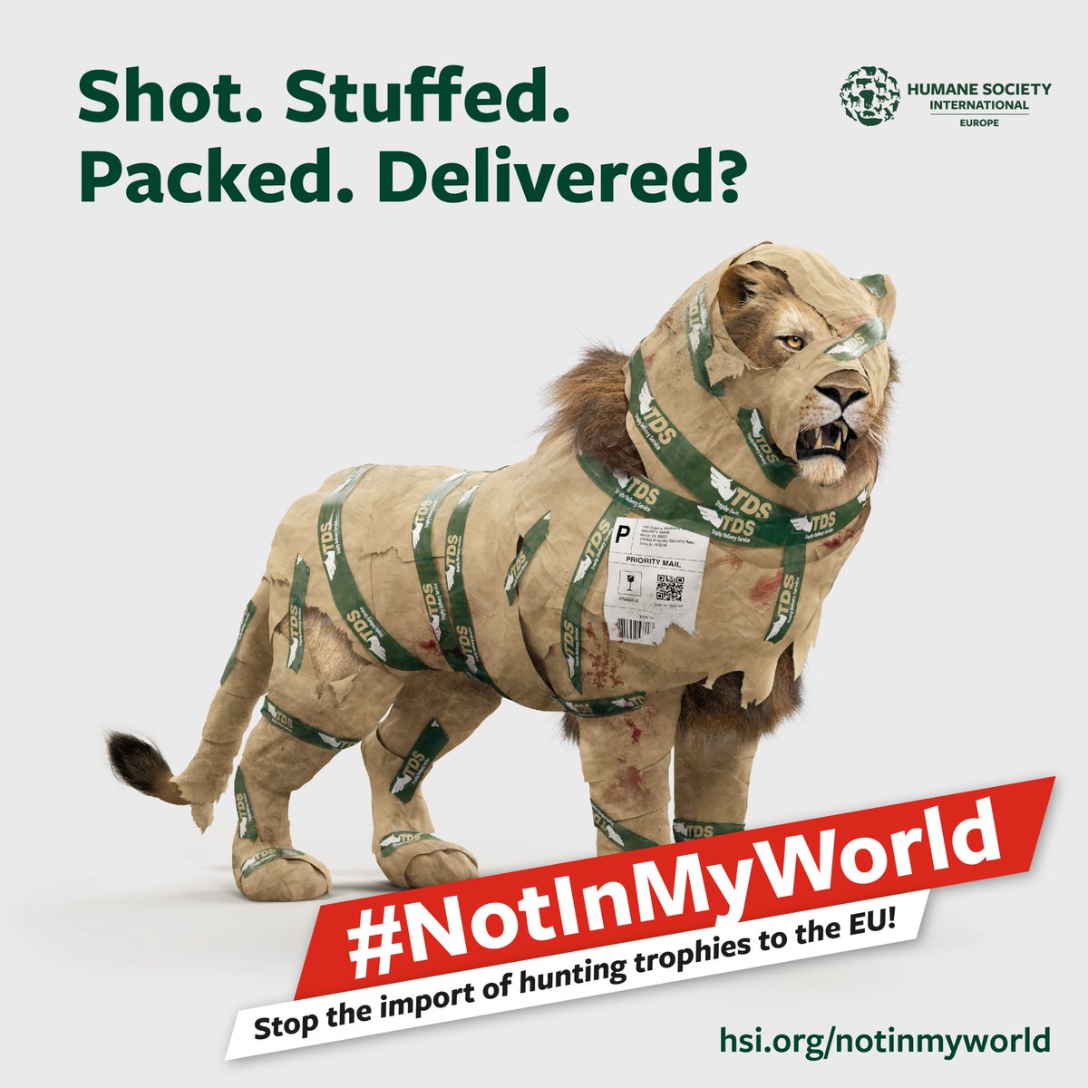 humaneworldeu's tweet photo. 😱 Nearly 15,000 hunting trophies of species at risk were imported into the EU between 2014 and 2018. This must end! Support &amp; share #NotInMyWorld!