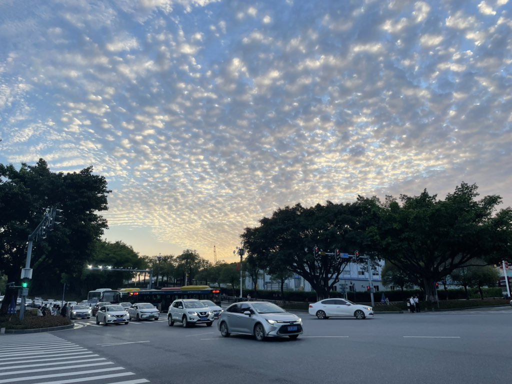 MeiryLynn's tweet photo. 又开始抑郁、焦虑、神经衰弱了，治疗了两三年，没好，住过好多医院——大城市的排名很靠前的三甲医院，有颈椎病——脊椎突出、韧带钙化、压迫神经，但都被医生否认目前的躯体化症状是颈椎病导致的，现在，开始记忆力减退、思维混乱、注意力不集中，时好时差，现在在吃中成药，也不知道啥时候是个头。 https://t.co/SCBclDR7QR