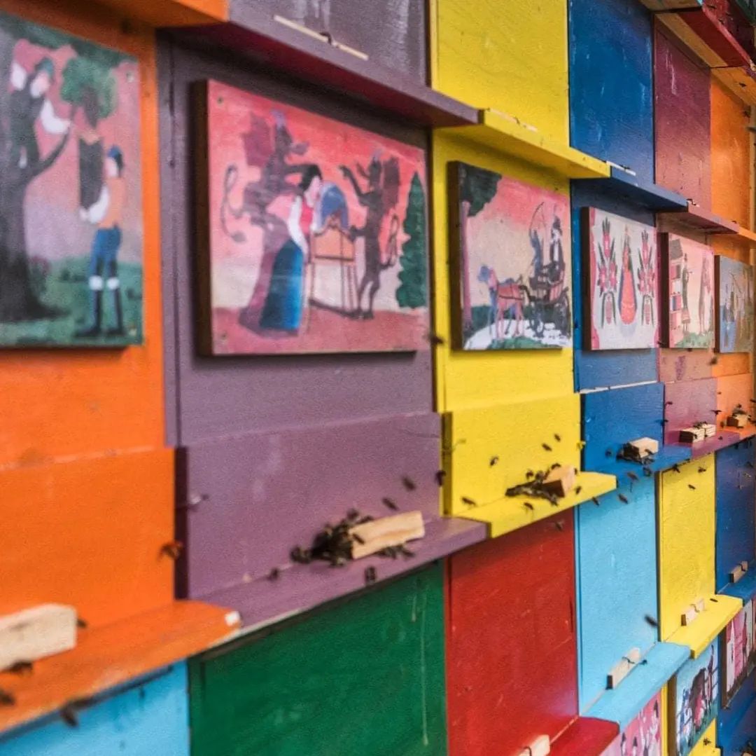 It's World Bee Day - May 20🐝when we celebrate all kinds of #bees on our planet! This was an initiative of #Slovenia, where we truly #respectbees! In a small town of #Radovljica there's even a Bee Museum, which I've visited several times!🐝🌻🌸letsgoslovenia.si/apitourism-uni…