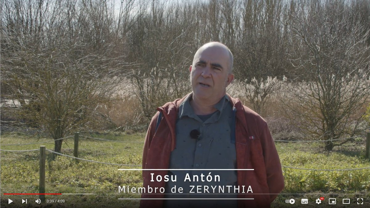 asocZERYNTHIA's tweet photo. Con este vídeo celebramos los 15 años de andadura de nuestra asociación, dedicada al estudio, conservación y divulgación de las #mariposas diurnas y nocturnas. Esperamos que os guste! @avisproductions https://t.co/0n4jkIxF1D https://t.co/x6qVlptx8W