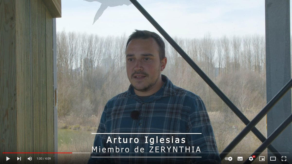 asocZERYNTHIA's tweet photo. Con este vídeo celebramos los 15 años de andadura de nuestra asociación, dedicada al estudio, conservación y divulgación de las #mariposas diurnas y nocturnas. Esperamos que os guste! @avisproductions https://t.co/0n4jkIxF1D https://t.co/x6qVlptx8W