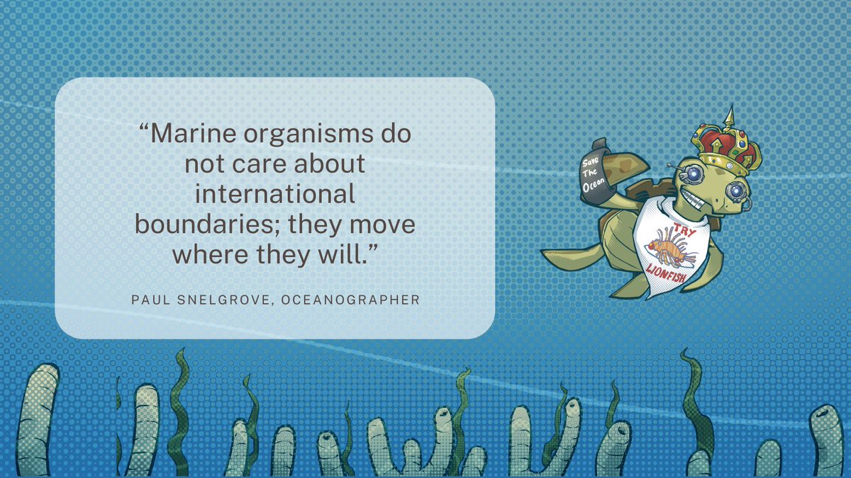 Turtlefriends_'s tweet photo. “Marine organisms do not care about international boundaries; they move where they will.”

@psnelgro - Paul Snelgrove, Oceanographer

#TurtleFriendsNFT #NFTs #NFTArtist #nftart #NFTcollection #ETH #bitcoin #OCEAN #NFTshill #NFT #oceanconservation #savethereef https://t.co/VMP8wREXRp